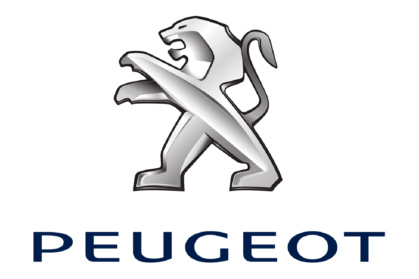 Rebuild/Upgrade Service for your Peugeot Convertible Hydraulic Components